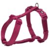 H-postroj PREMIUM – orchidej DOPRODEJ